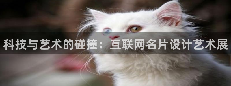 天狮娱乐是什么意思