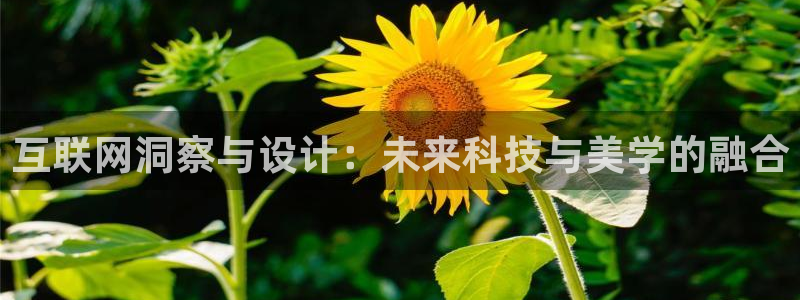 天狮娱乐 amp c主管20476