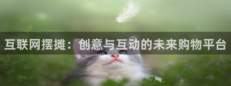 天狮娱乐b 判官是什么