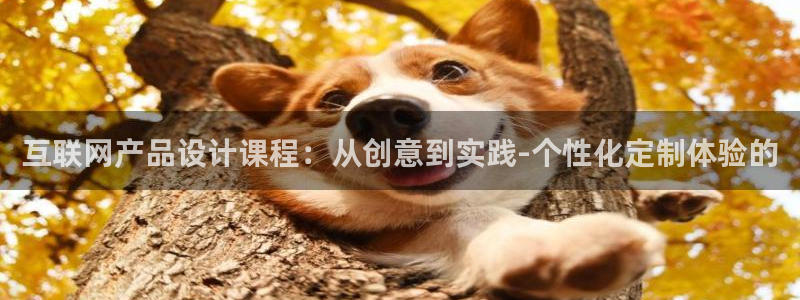 天狮娱乐主招商