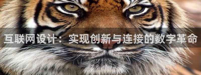 天狮娱乐平台是赌博吗