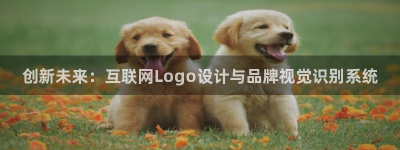 天狮娱乐平台
