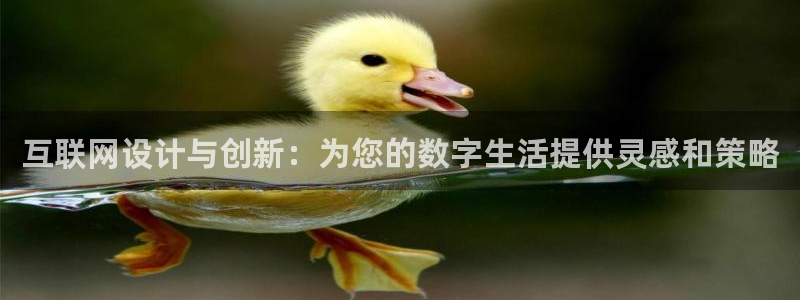 天狮娱乐股东Q 882092