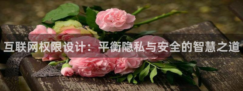 天狮娱乐来0 1311