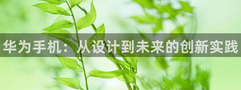 天狮娱乐 接待 0：华为手机：