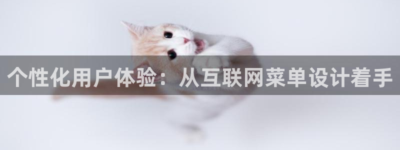 娱乐狮天：个性化用户体验：从互