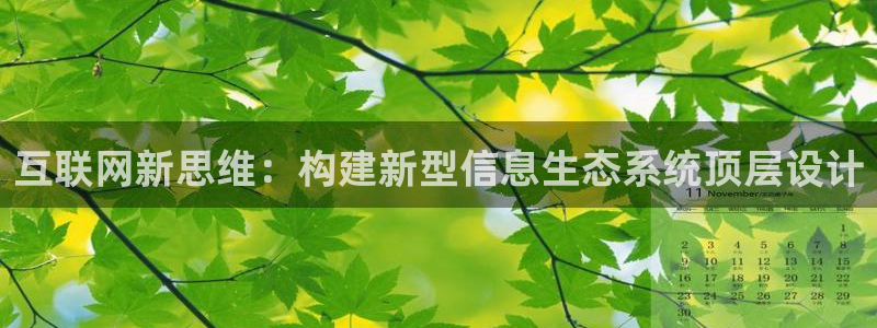天狮娱乐招商66六26：互联网