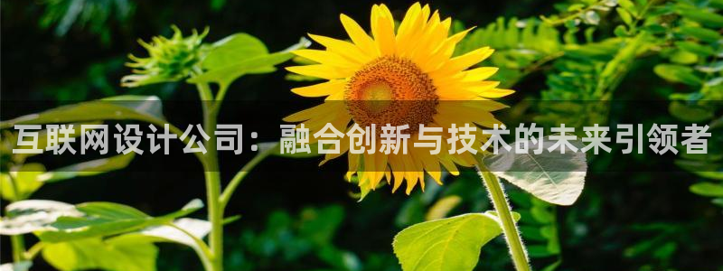 天狮娱乐扣扣29229