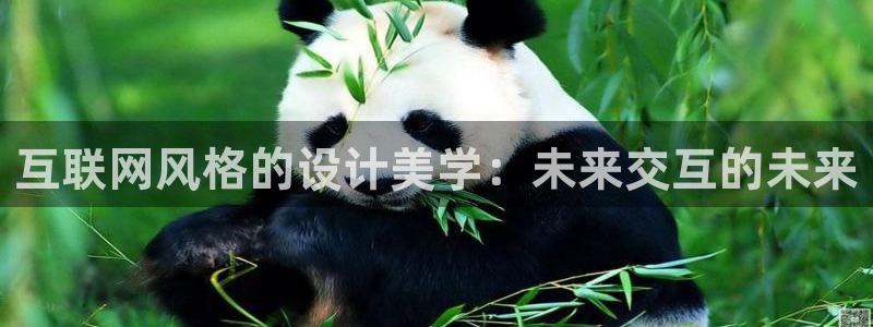 天狮娱乐 amp c主管20476