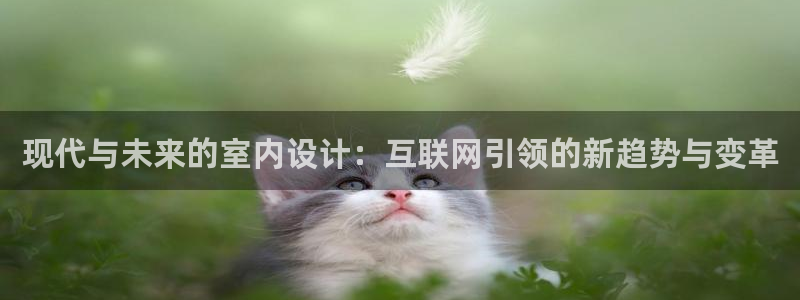 天狮娱乐f 判官