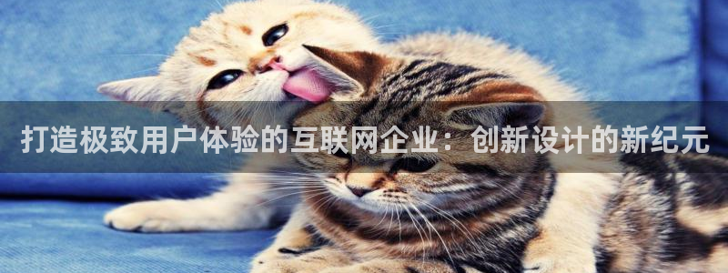 天狮娱乐e 判官