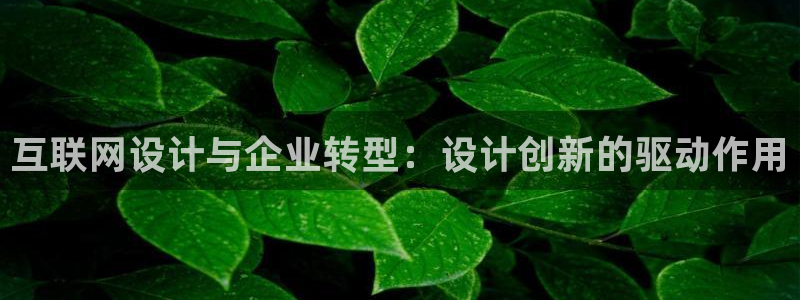天狮娱乐登
