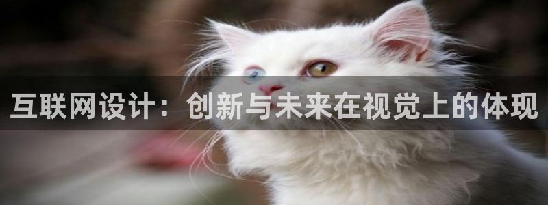 天狮娱乐 c主管57661