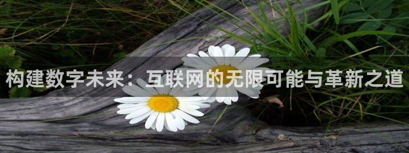 天狮娱乐能赚钱吗