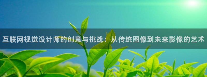 天狮yl娱乐：互联网视觉设计师