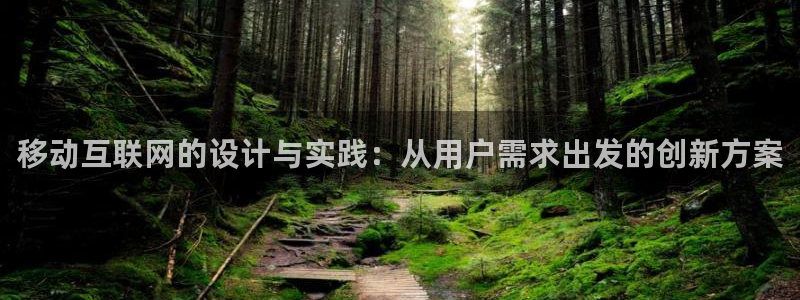 天狮娱乐授权：移动互联网的设计