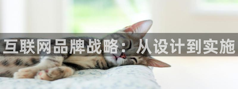 天狮娱乐 e.主管57661