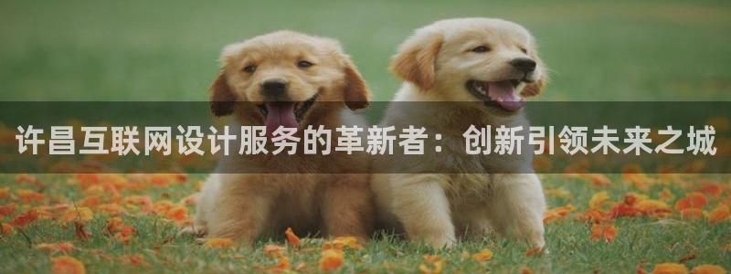 天狮娱乐 b内部61166