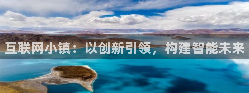 天狮娱乐湫333 00：互联网