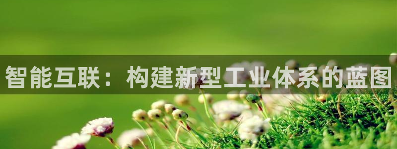 天狮娱乐_99399天神_加扣C
