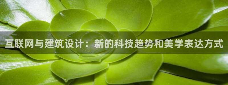 天狮娱乐方