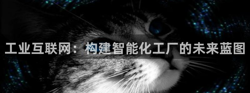 天狮娱乐指尖年