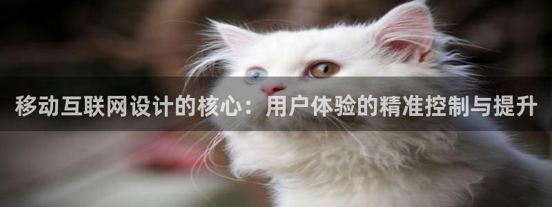 天狮娱乐 amp c主管20476