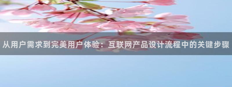 天狮娱乐运营29229