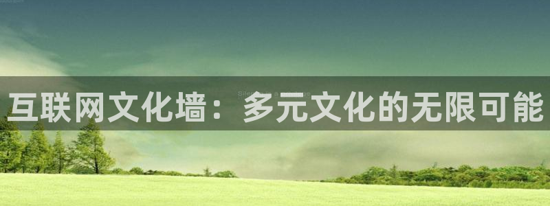 天狮娱乐运营
