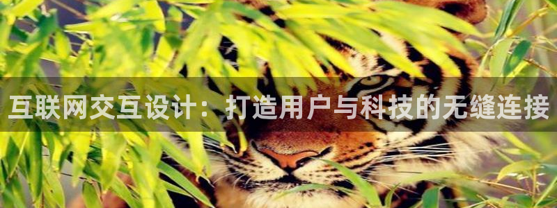 天狮娱乐c 判官