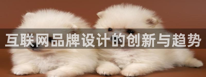 天狮娱乐股东招商