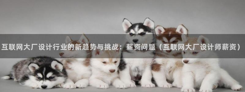 天狮娱乐 来q.395-867