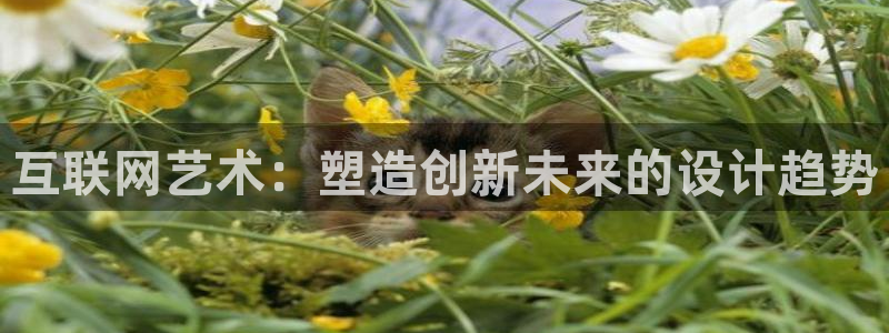 天狮娱乐-扣 股东：互联网艺术