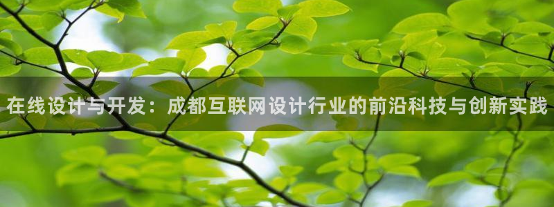 天狮娱乐b 判官是什么