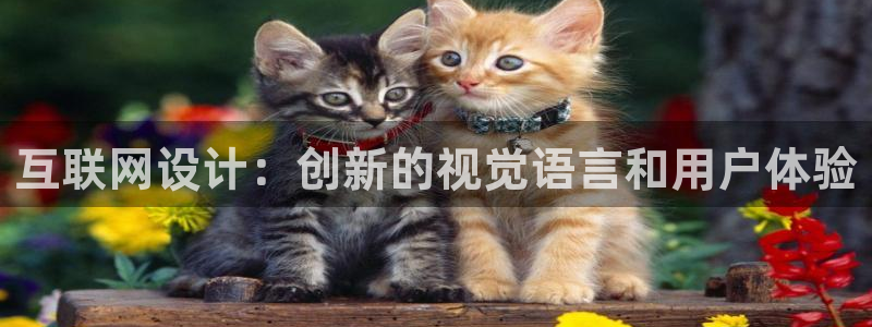 天狮娱乐代理是谁