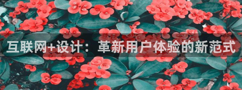 天狮娱乐bd33net广告：互