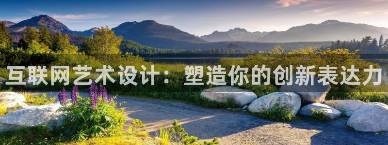 天狮娱乐招商29229：互联网