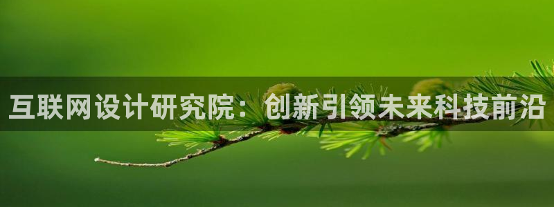 天狮娱乐代理制度：互联网设计研