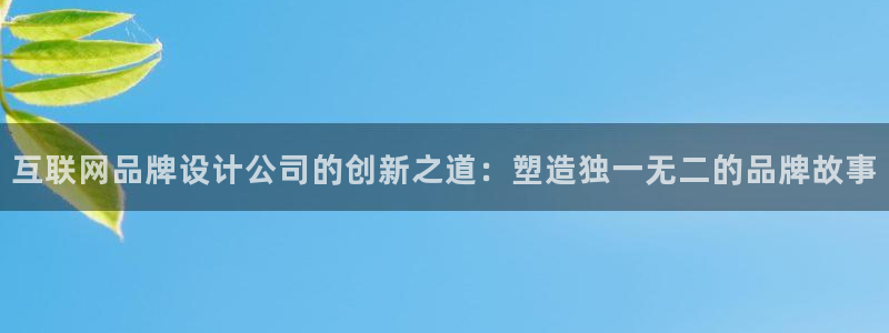 天狮娱乐待遇：互联网品牌设计公