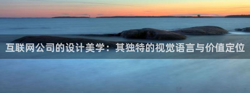 天狮娱乐待遇：互联网公司的设计