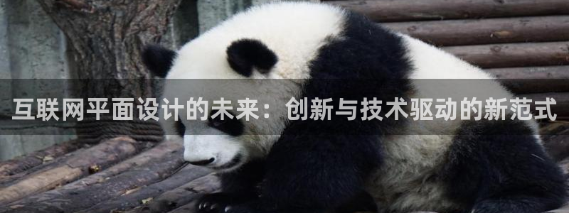 天狮娱乐购彩平台：互联网平面设