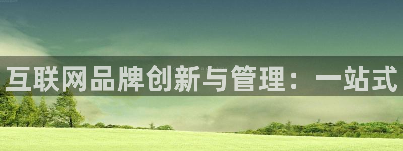 天狮娱乐学：互联网品牌创新与管