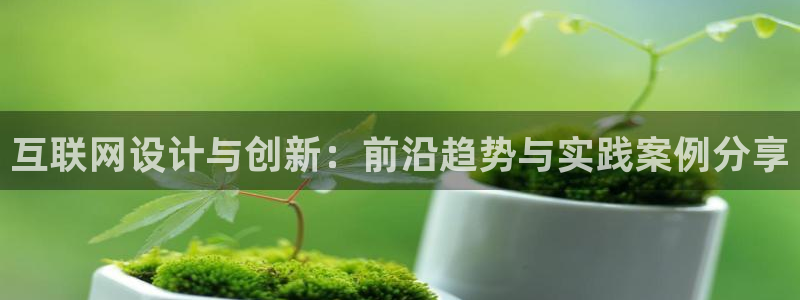 天狮娱乐首页：互联网设计与创新