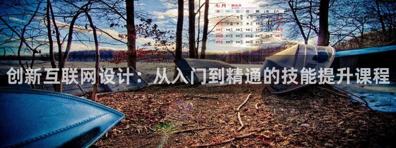 天狮娱乐手机挂机：创新互联网设