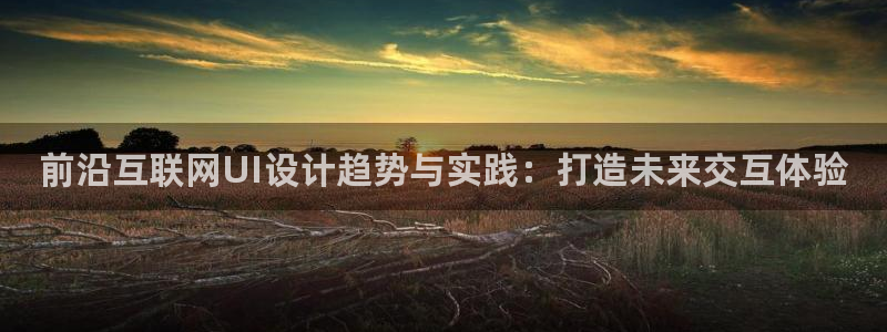 天狮娱乐会路吗：前沿互联网UI