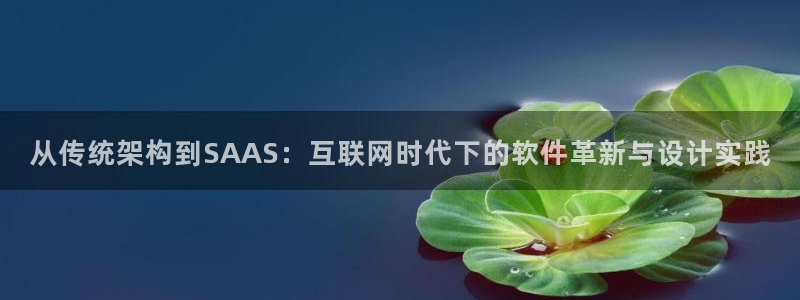 天狮娱乐怎么充钱：从传统架构到