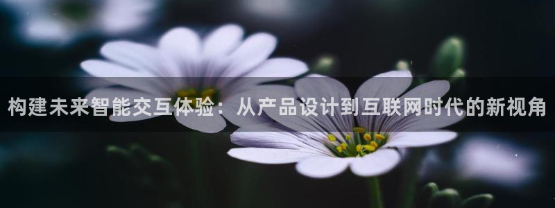 天狮娱乐官网：构建未来智能交互