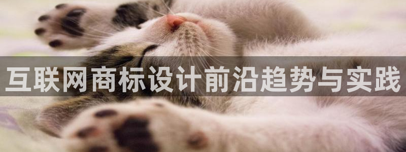天狮娱乐主