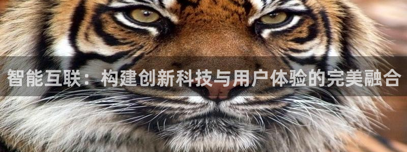 天狮娱乐挂机